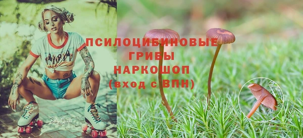 дживик Верея