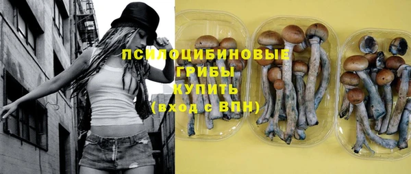 дживик Верея