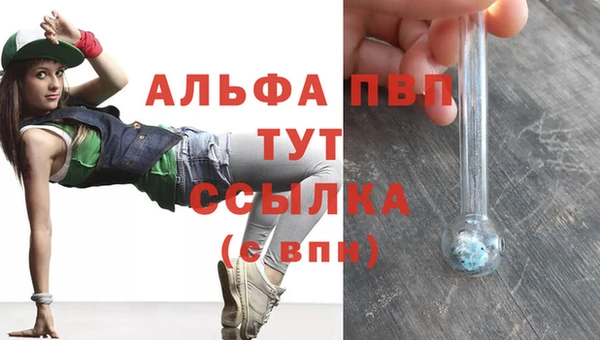 сатива Верхний Тагил